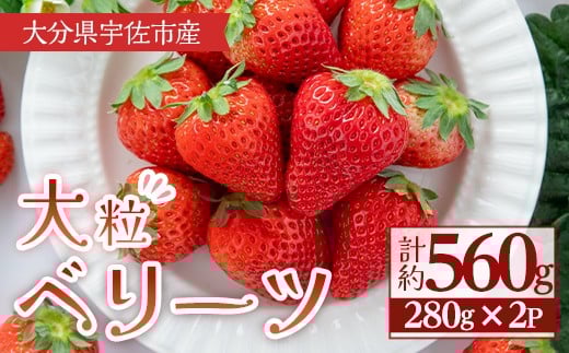 ＜2026年1月上旬～3月下旬の間に発送予定＞大粒いちご(計約560g・280g×2P)苺 イチゴ フルーツ 果物 くだもの 果実 ベリーツ 大粒【117900400】【Farm U.S.A.】