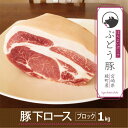 【ふるさと納税】希少 ブランド豚 綾ぶどう豚 下ロースブロック 1kg 豚肉 赤身 脂身 国産 宮崎県産 銘柄豚 冷凍 送料無料（36-176）