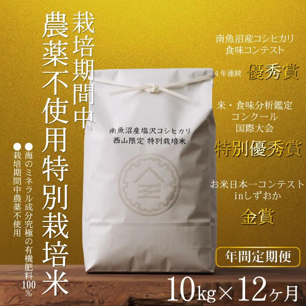 【年間定期便令和8年新米予約】南魚沼食味コンクール4年連続優秀賞　栽培期間中農薬不使用特別栽培米10kg×12回　南魚沼塩沢産コシヒカリ【2026年10月中旬から1ヶ月以内に順次発送予定】｜コシヒカリ
