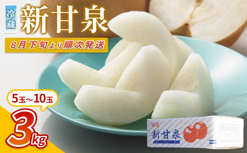
                  【先行予約】中野農園 梨 ”新甘泉” 3kg 冷蔵便｜鳥取 岩美 梨 なし ナシ  赤梨 果物 フルーツ ※お届けは2026年8月下旬頃～【41079】
                