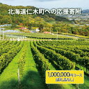 【ふるさと納税】北海道仁木町 寄附のみの応援受付 1,000,000円コース（返礼品なし 寄附のみ100万円）　仁木町