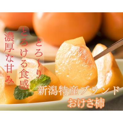 ふるさと納税 佐渡市 【佐渡産おけさ柿】贈答用 2L〜3Lサイズ(青秀または赤秀)約20〜24玉入り