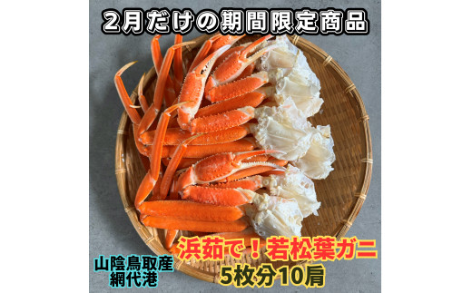【22035】鳥取網代港　地元で大人気　浜茹で！若松葉ガニ（中5枚10肩）岩美 松葉がに ずわいがに かに カニ 日本海【さかなや新鮮組】