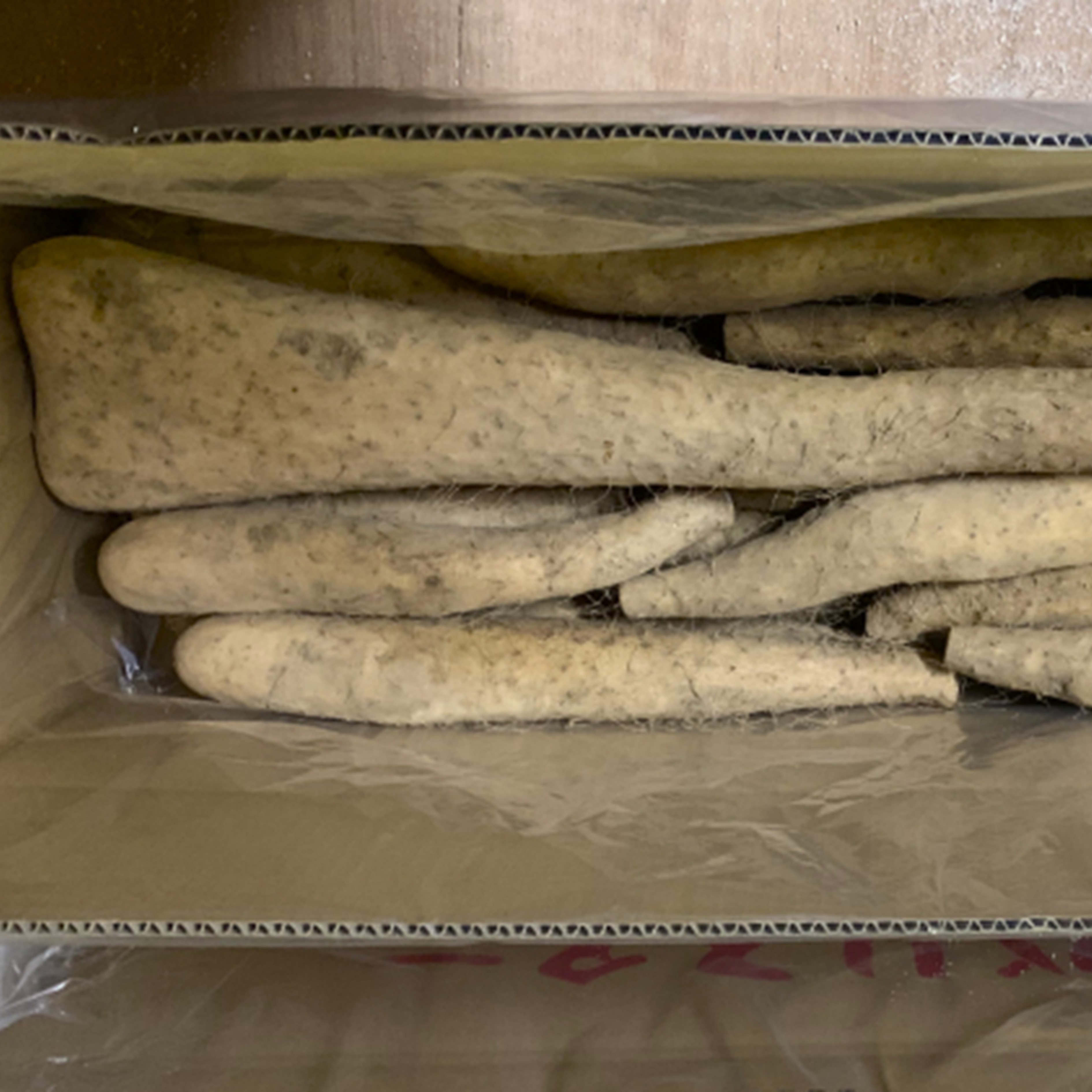 【秋掘り】十勝豊頃産 ながいも5kg 【2026年初冬出荷】（先行受付）【植村農場】