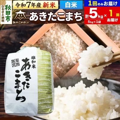 ふるさと納税 秋田市 新米受付あきたこまち 清流米 5kg【白米】 |15_akn-dd0501hs