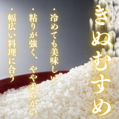 ふるさと納税 山口市 農家直送!山口市産新米「きぬむすめ」精米10kg D405 |  | 02