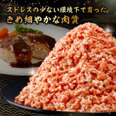 ふるさと納税 南房総市 房総ブランド豚　里見和豚　挽肉2kg mi0017-0016 |  | 01