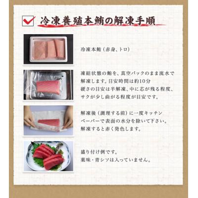 ふるさと納税 北山村 【串本町×北山村】本マグロ(養殖)トロ&赤身セット 3kg【nks112】 |  | 03