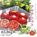 【ふるさと納税】＜アルテトマト 約1.6kg（20-35玉）＞ フルーツトマト 高知県 佐川町 トマトハウスナカムラ 野菜 贈答用 【常温】リピーター多数 高糖度 ギフト 栽培期間中化学農薬不使用 　＜2025年1月～5月頃まで発送＞