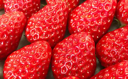 【3回定期便12～1月、2月、3月】寒蜜いちご 紅ほっぺ  4パック（約300g×4パック）×3回 【配送不可：北海道・沖縄・離島】｜ いちご 苺 紅ほっぺ 果物 くだもの フルーツ 菊川市 定期便