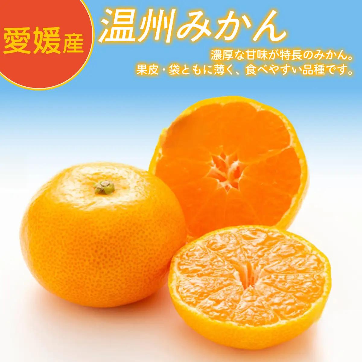 【定期便】Premiumみかんジュース（2本セット）全2回※北海道・沖縄・離島への配送不可 IKTAT009