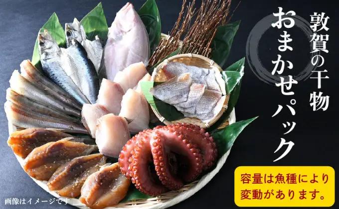 [051-a011] 干物 敦賀の「干物詰め合わせセット」【海鮮 おかず おまかせ 保存料不使用】