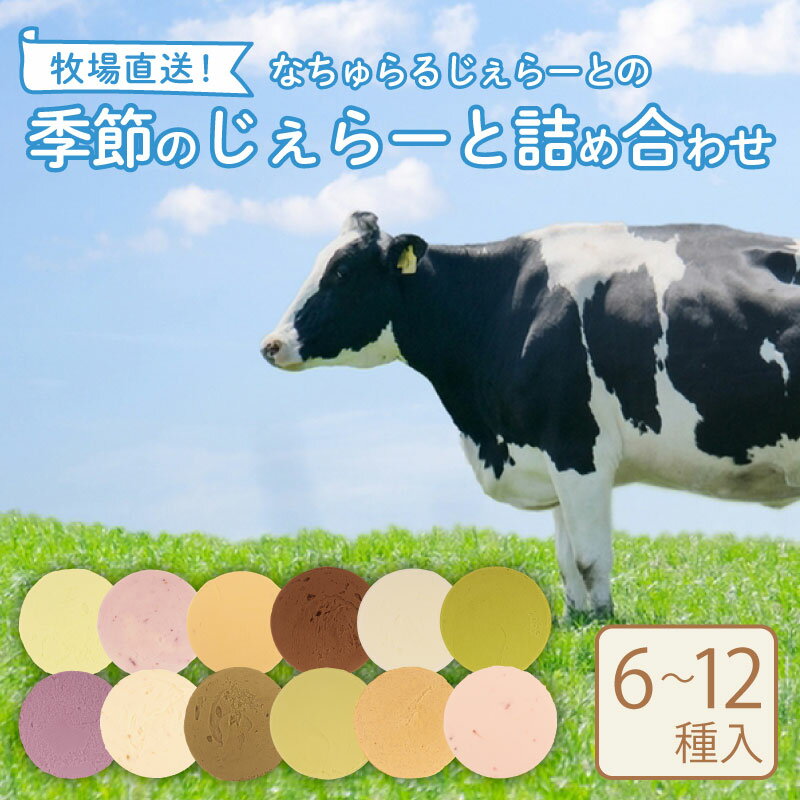 【ふるさと納税】 ジェラート 6〜12個セット なちゅらるジェラート 日付指定 いちご ミルク チョコ ブルーベリー チーズ お茶 緑茶 紅茶 ほうじ茶 ラム レーズン ピスタチオ 塩 キャラメル アイス ジェラート セット 季節 父の日 新潟 新発田 F02 F04_01 nakano001