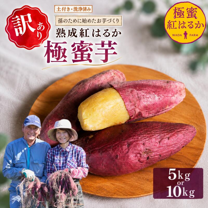 【ふるさと納税】 【 冬季 限定 】【 先行予約 】 【 訳あり 】選べる！ 高知県産 熟成紅はるか 極蜜芋 土付き 5kg 10kg ｜ 紅はるか さつまいも サツマイモ 生芋 熟成芋 高知 焼き芋 やきいも おやつ 農家直送 産地直送 ギフト WADA FARM 高知県 南国市