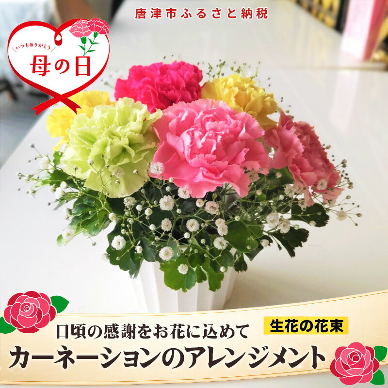 【ふるさと納税】母の日ギフト お母さんありがとう！カーネーションのアレンジメント お祝い 記念日 フラワーギフト 「2026年 令和8年」「母の日」Hahanohi