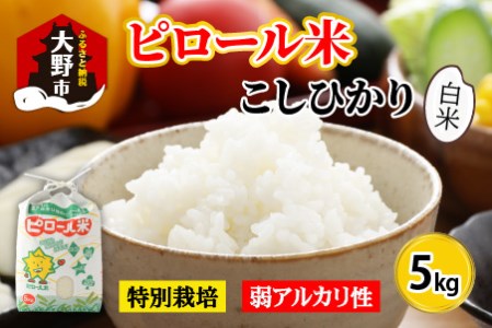 【先行予約】【令和7年産 新米】こだわりの米！弱アルカリ性のピロール米 こしひかり 白米 5kg [A-009001]