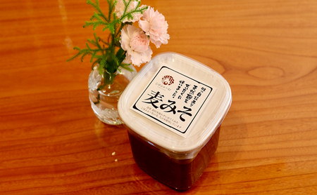 みそ 麦みそ 自然栽培 無農薬 600g みそ