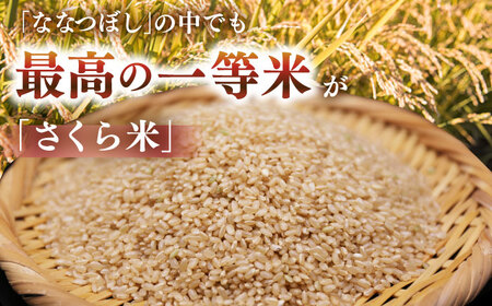 【隔月全3回定期便】【玄米】ななつぼし さくら米 10kg 特A 北海道[AXAB082]