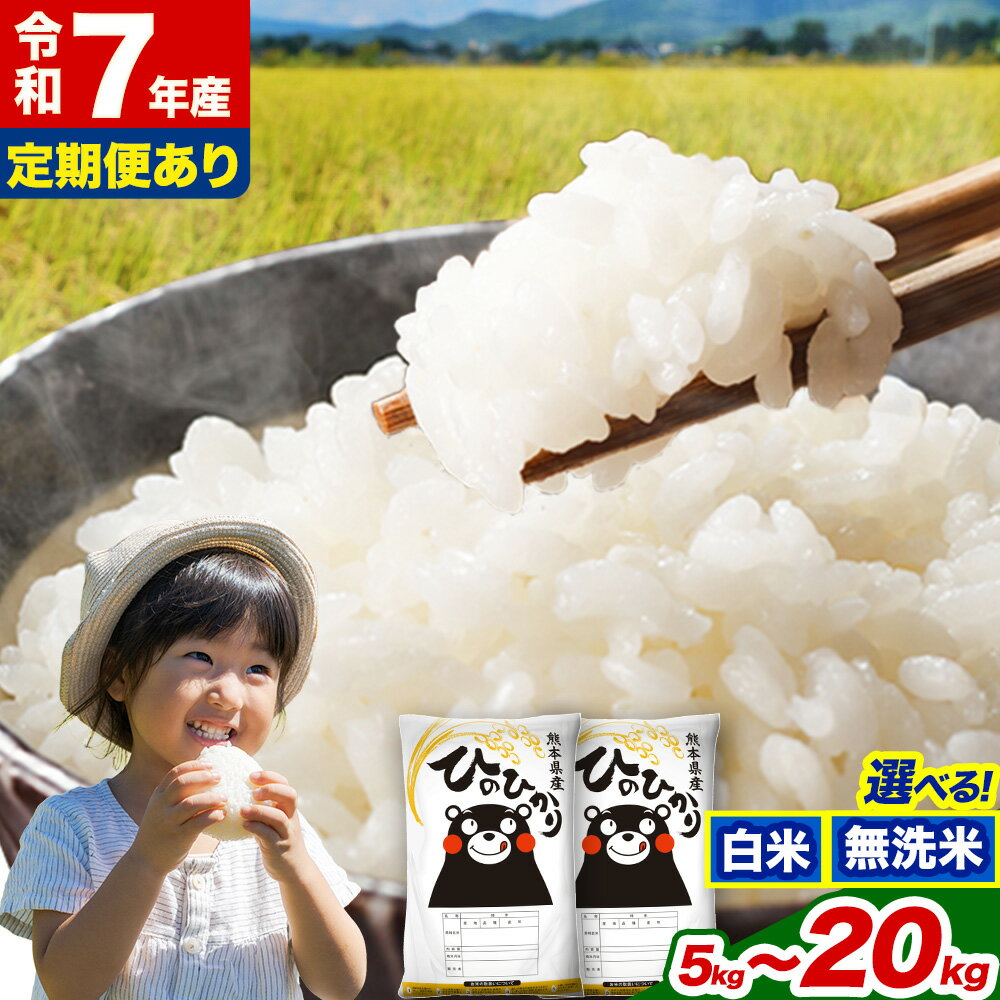 【ふるさと納税】令和7年産 無洗米 も選べる ひのひかり 5kg 10kg 20kg《出荷時期をお選びください》令和7年産 高レビュー 熊本県産 ふるさと納税 無洗米 白米 精米 ひの 米 こめ ヒノヒカリ コメ お米 定期便　総合ランキングランクイン