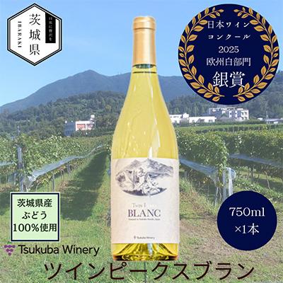 ふるさと納税 茨城県 【離島・沖縄配送不可】つくばワイナリー ツインピークスブラン　750ml