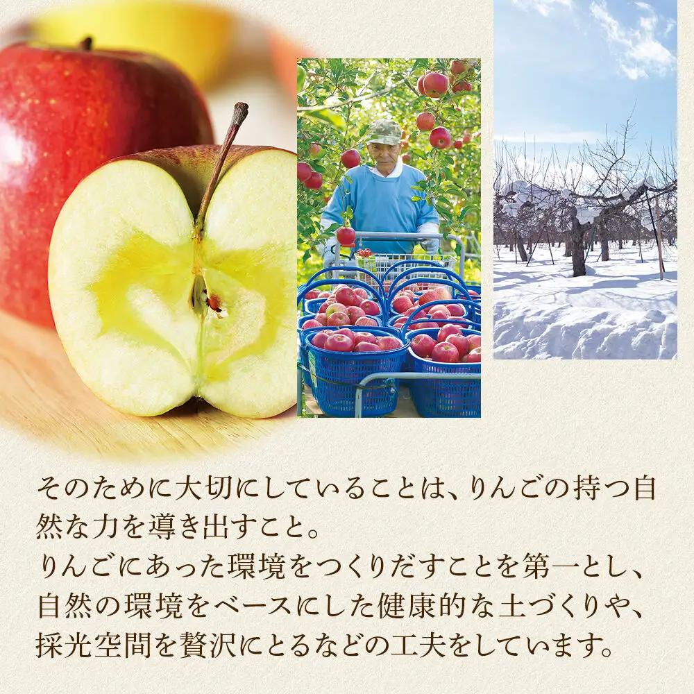 シードル タムラシードルセット TF-TSTB（BRUT・SEC 750ml×各1本 計2本） 青森県弘前市 タムラファーム