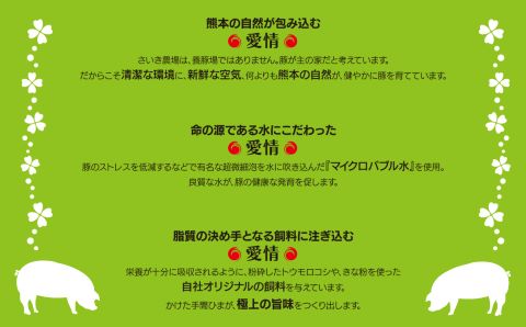 火の本豚 豚バラ焼肉（500ｇ×3パック） | 熊本県 熊本 くまもと 和水町 なごみ 豚肉 肉 豚バラ 焼肉 500g 小分け 1500g 冷凍