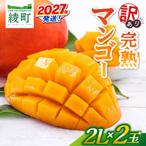 先行予約 訳あり 完熟マンゴー 2L×2玉（パック）マンゴー 宮崎 果物 フルーツ くだもの 2027年 国産 高級 マンゴージュース フルーツサンド 南国フルーツ デザート おすすめ 家庭用 ワケアリ おすそ分け 冷蔵 綾町 送料無料 【JA綾町】_A0114-1103