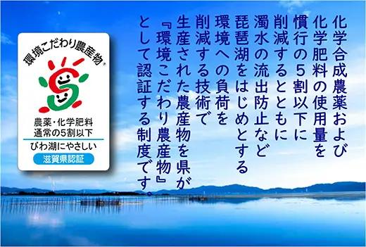 【PRキャンペーン対象】【7年産】 近江米 みずかがみ 無洗米 5kg 【BN15W】 近江米 環境こだわり米 滋賀県産 無洗米