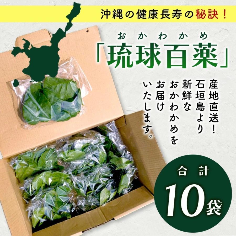 ふるさと納税 石垣市 沖縄の健康長寿の秘訣「琉球百薬(おかわかめ)」10袋 |  | 03