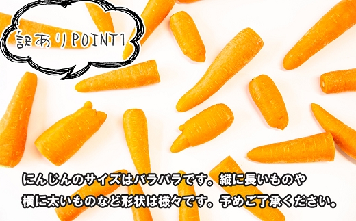 【予約受付】農薬・化学肥料不使用 《自然のまま》にんじん 5kg 2026年1月から配送