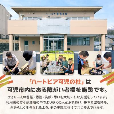 ふるさと納税 可児市 【思いやり型返礼品】障がい者福祉施設　ハートピア可児の杜の生うどん「ぴあうどん」3種セット |  | 03