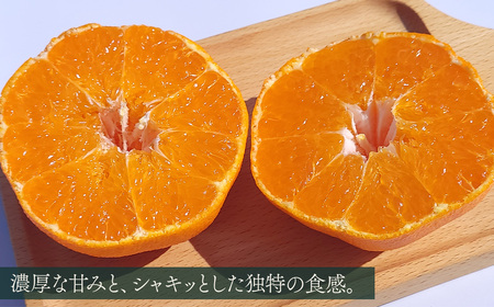 【甘平】【愛媛限定栽培柑橘】甘平(かんぺい) 贈答用 約1.7㎏（5～7玉）茨木農園