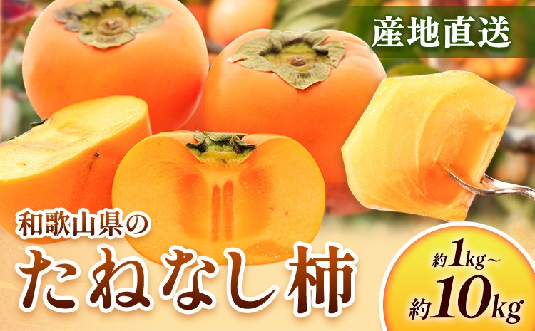 
                  ＜10月より発送＞たねなし柿 選べる 約1kg 約2.5kg 約5kg 約7.5kg 約10kg 刀根早生 平核無柿 ひらたねなしかき 池田鹿蔵農園《10月上旬-12月上旬頃出荷》 和歌山県 日高町 柿 カキ かき たねなし ジューシー フルーツ 種無柿 種無し柿 種なし柿 無核柿
                