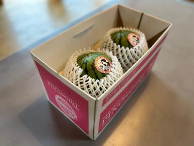 798.種ごと食べられる！小玉スイカ【ピノ・ガール】2玉（1玉2kg前後×2玉）※着日指定不可※離島への配送不可