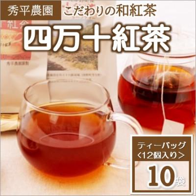 ふるさと納税 津野町 四万十紅茶〈ティーバッグ〉2.5g×12個入り×10袋