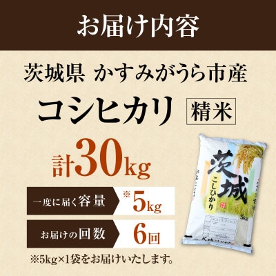 【毎月定期便】新米 コシヒカリ 5kg全6回 | お米 おこめ こしひかり 茨城県かすみがうら市産
