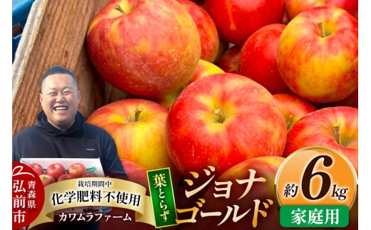 【26年10月発送】りんご 葉とらず ジョナゴールド【家庭用】約6kg カワムラファーム 青森県 弘前市 [果物 フルーツ 林檎 リンゴ くだもの]