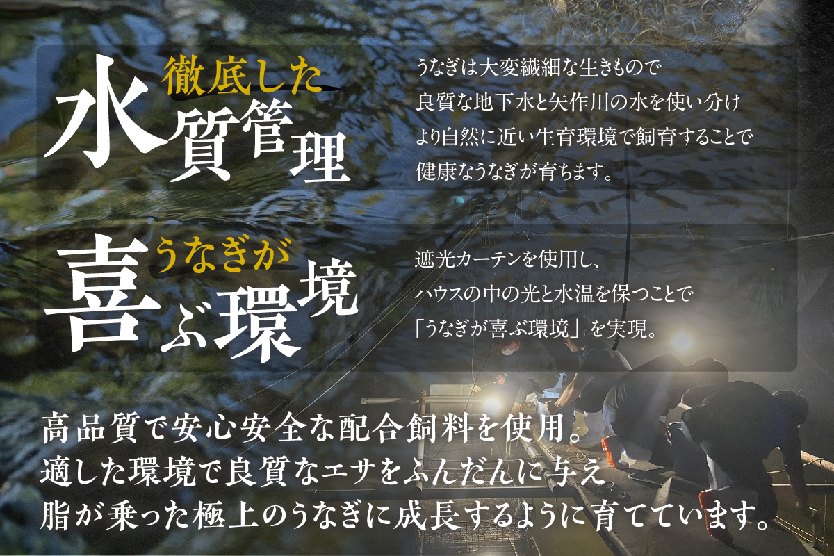 【定期便6ヶ月】三河高浜産三代目養鰻家の白焼きうなぎ 特大5尾