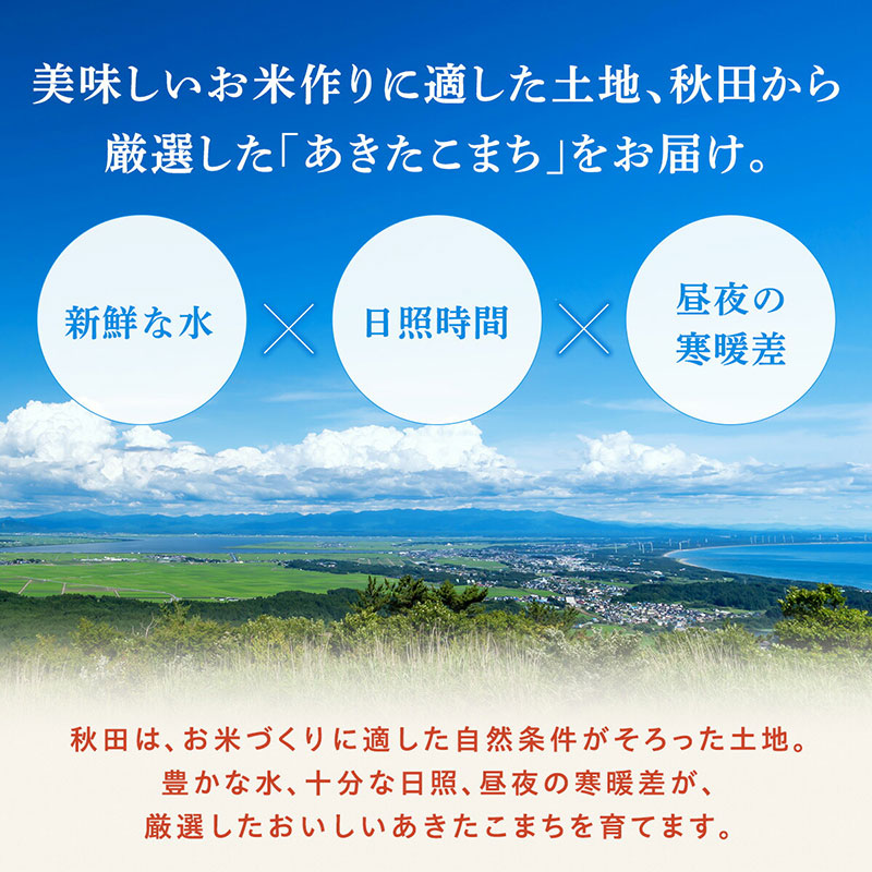 《 6回定期便 》 米 令和8年産 あきたこまち 玄米 10kg×6回 秋田県産 米 一等米 ブランド米 60キロ 一人暮らし 秋田 能代 能代市 送料無料 《こまちライン》