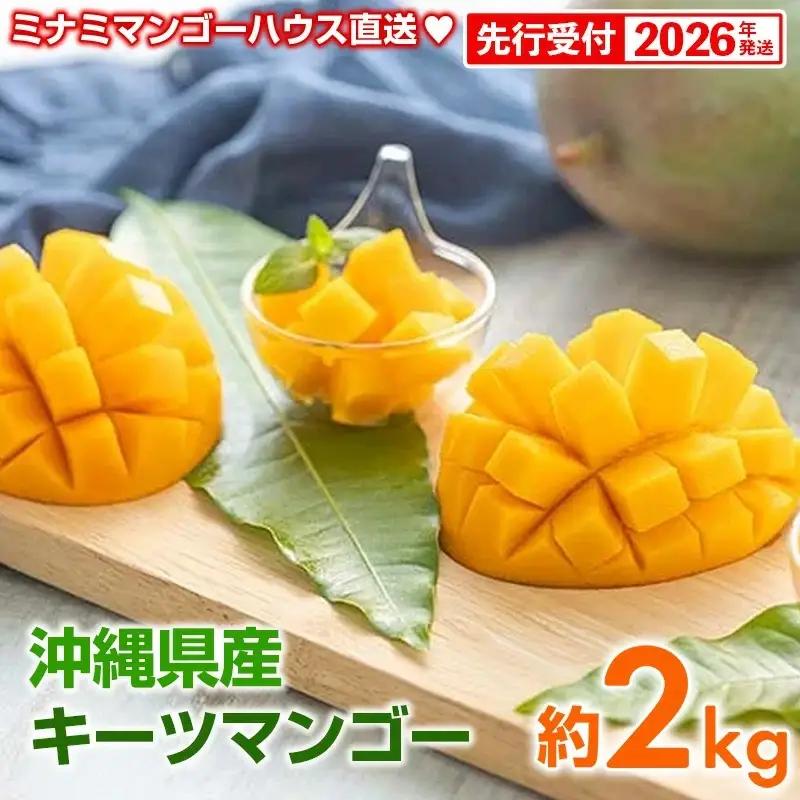 【先行予約】【2026年発送】ミナミマンゴーハウスのキーツマンゴー約2kg - 先行予約 産地直送 沖縄産 国産 果物 フルーツ 南国フルーツ トロピカルフルーツ 旬の味覚 人気 おすすめ 送料無料 沖縄県 八重瀬町