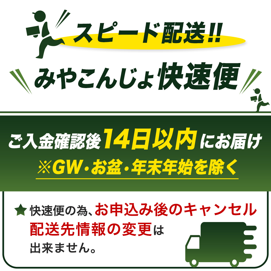 畜産農家応援! 宮崎牛しゃぶしゃぶ2種セット500g×4パック+豚肉ハンバーグ&ウィンナー≪みやこんじょ快速便≫_32-N203-R-ESHW-CF