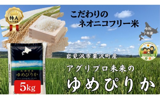 令和7年産 アグリプロ未来のゆめぴりか 5kg【a178-001】北海道 岩見沢市 北海道産 お米 米 精米 白米 ご飯 ごはん