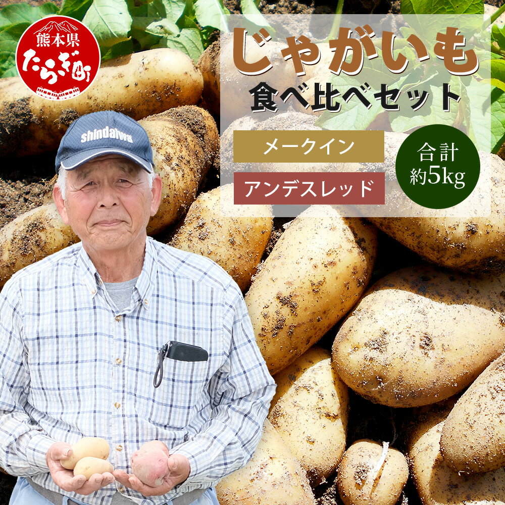 【ふるさと納税】大森さんの じゃがいも 食べ比べセット 約5kg メークイン / アンデスレッド 熊本県 多良木町 ジャガイモ じゃが芋 ポテト 芋 いも 野菜 国産 数量限定 事業者支援 送料無料
