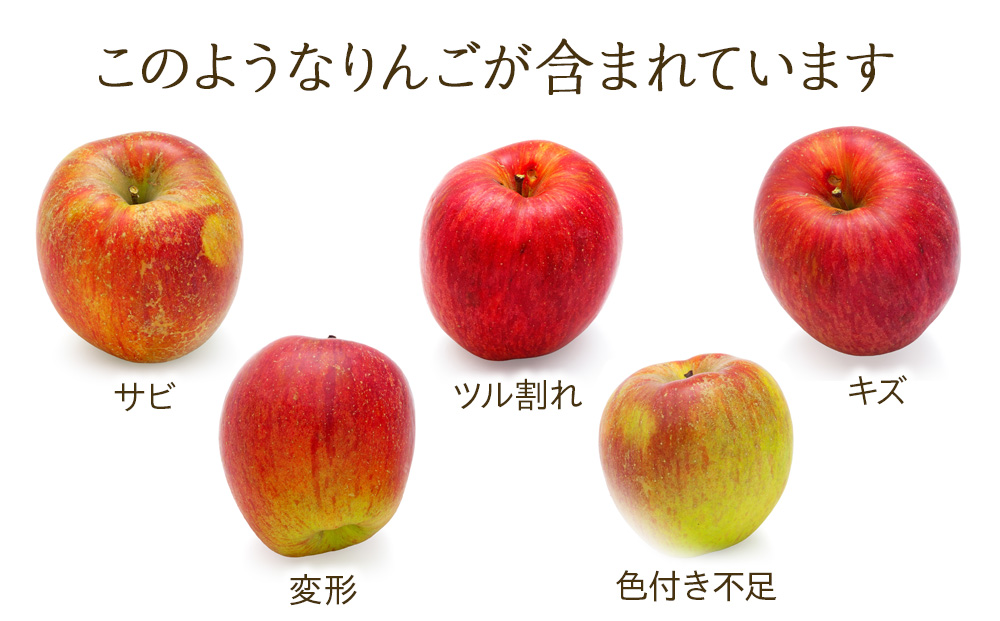 先行予約 訳あり りんご あいかの香り 約5kg セット 2024年 令和6年度発送分 リンゴ 林檎 長野 フルーツ 果物 信州産 長野県産 特産 産地直送 家庭用 おすすめ