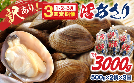 ＜連続1月・2月・3月お届け＞《先行予約・期間限定》浜中町産活あさり定期便　(500g×2袋×3回)総重量3kg_H0023-008