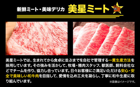 牛肉 ステーキ 肉 美星牛 食べ比べセット 1kg 美星ミート《90日以内に発送予定(土日祝除く)》岡山県 浅口市 ステーキ肉 牛肉 牛 厳選 霜降り 冷凍 食べ比べ セット 送料無料