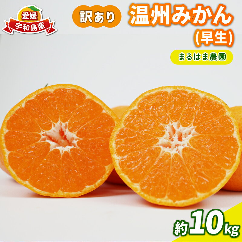 【ふるさと納税】 訳あり みかん 温州みかん 早生 約10kg まるはま農園 早生温州 温州 早生みかん 甘い 果物 くだもの フルーツ 柑橘 mikan 蜜柑 愛媛蜜柑 愛媛みかん わけあり サイズ 不揃い 産地直送 数量限定 国産 愛媛 宇和島 B010-202004
