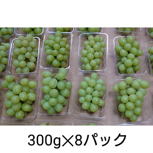 先行予約 シャインマスカット 約2.4kg（1房約300g×8パック）　【2026年7月下旬から8月中旬発送予定】