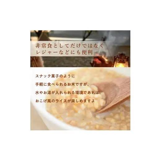 利根町産米100％使用　水不要！そのまま食べられる【非常食・備食ライス】カレー味（40袋）