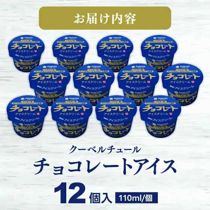 チョコレートアイスクリーム 12個入 アイス / アイス アイスクリーム カップアイス 冷凍 チョコ チョコレート カカオ 濃厚 ベルギー産 詰め合わせ セット デザート スイーツ おやつ 高知 アイ